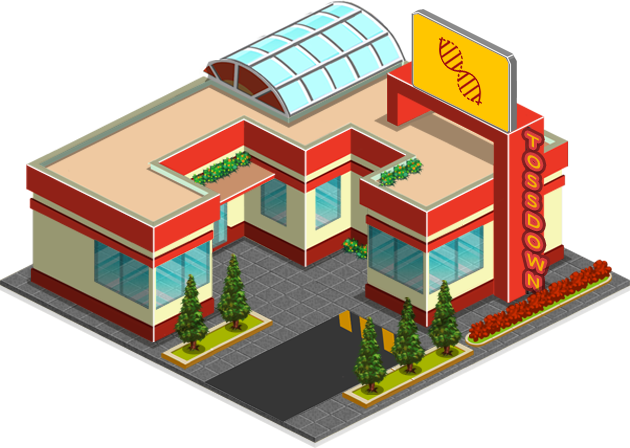 company_info