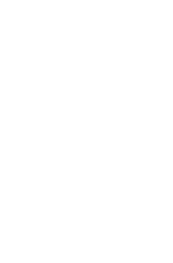 vector